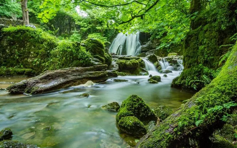 高精度电子